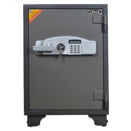 KÉT SẮT TRULY-85E